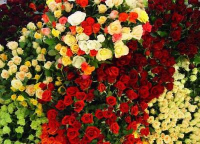 چرا تهرانی ها عادت نداشتند گل بخرند؟ ، از اولین گل فروشی تهران چه می دانید؟ ، روایت تاریخی نامگذاری گل صدتومنی